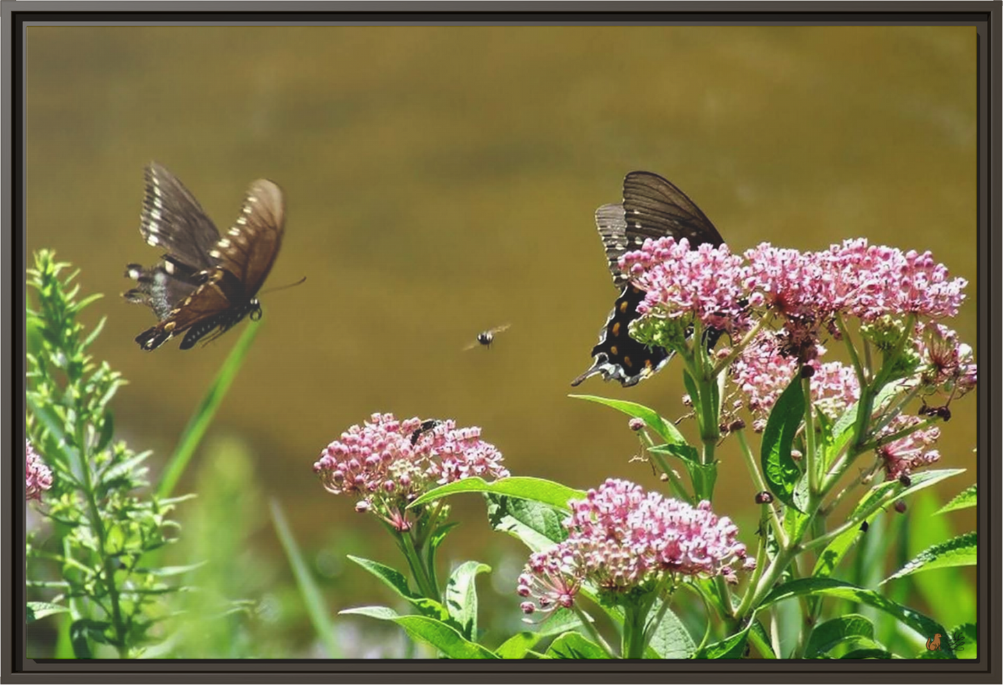 Reflections of Serenity, Framed Canvas Print