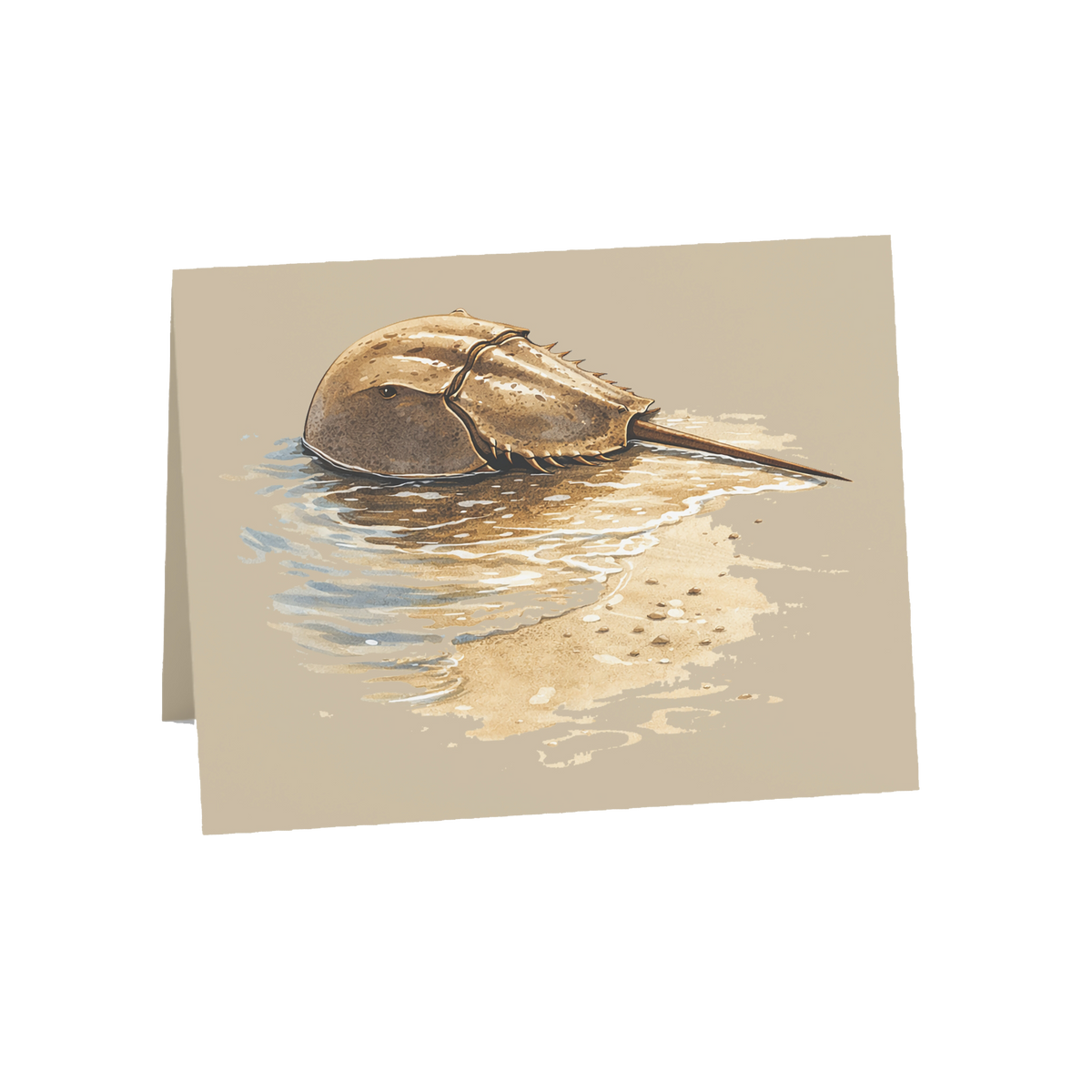 Coastal Horseshoe Crab Greeting Cards, 10ct